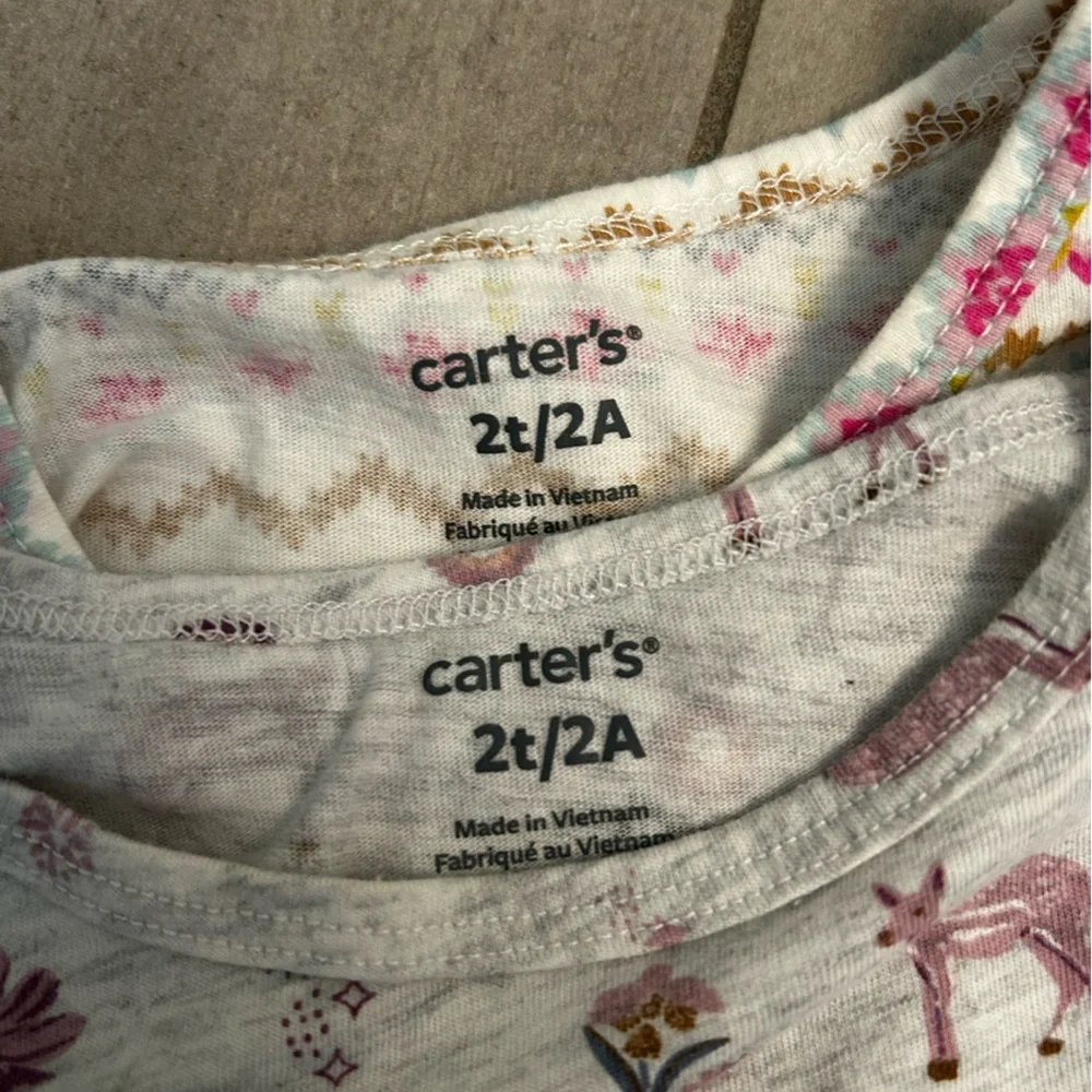 Carter's Multicolor and Gray Kids long sleeve dresses 2t bundle